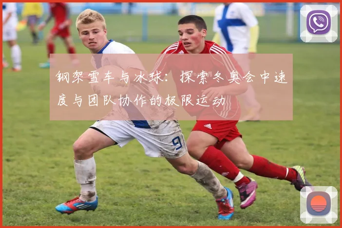 钢架雪车与冰球：探索冬奥会中速度与团队协作的极限运动